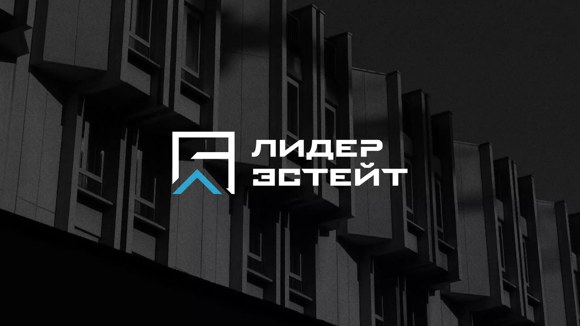 Разработка логотипа агентства недвижимости «Лидер Эстейт» в Чкаловске